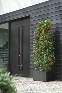 Elho Pflanzkasten Vivo Next Lang - 80 Cm, Living Schwarz -Deutschland Gartenbedarf Verkäufe 2024 elho pflanzkasten vivo next lang 80 cm living schwarz 1247899 de