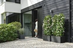 Elho Pflanzkasten Vivo Next Lang - 80 Cm, Living Schwarz -Deutschland Gartenbedarf Verkäufe 2024 elho pflanzkasten vivo next lang 80 cm living schwarz 1247991 de