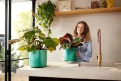 Elho Pflanztopf "The Ocean Collection" Rund - Atlantikblau, 14 Cm -Deutschland Gartenbedarf Verkäufe 2024 elho pflanztopf the ocean collection rund atlantikblau 22 cm 1321436 de