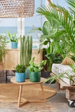 Elho Pflanztopf "The Ocean Collection" Rund - Atlantikblau, 14 Cm -Deutschland Gartenbedarf Verkäufe 2024 elho pflanztopf the ocean collection rund atlantikblau 22 cm 1321453 de