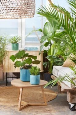 Elho Pflanztopf "The Ocean Collection" Rund - Atlantikblau, 14 Cm -Deutschland Gartenbedarf Verkäufe 2024 elho pflanztopf the ocean collection rund atlantikblau 22 cm 1321470 de