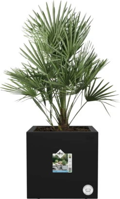 Elho Pflanztopf Vivo Next Quadrat - 30 Cm, Living Schwarz 22 Elho Pflanztopf Vivo Next Quadrat - 30 Cm, Living Schwarz -Deutschland Gartenbedarf Verkäufe 2024 elho pflanztopf vivo next quadrat 30 cm crna 1234935 de
