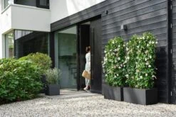 Elho Pflanztopf Vivo Next Quadrat - 30 Cm, Living Schwarz 21 Elho Pflanztopf Vivo Next Quadrat - 30 Cm, Living Schwarz -Deutschland Gartenbedarf Verkäufe 2024 elho pflanztopf vivo next quadrat 30 cm living schwarz 1229933 de