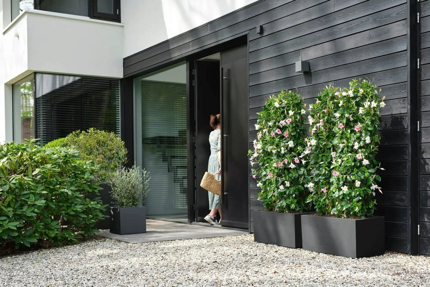 Elho Pflanztopf Vivo Next Quadrat - 30 Cm, Living Schwarz 10 Elho Pflanztopf Vivo Next Quadrat - 30 Cm, Living Schwarz – Bild 8