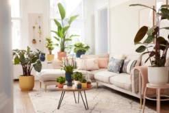 Elho Vibes Fold Rund 30 Cm, Seidenweiß 21 Elho Vibes Fold Rund 30 Cm, Seidenweiß -Deutschland Gartenbedarf Verkäufe 2024 elho vibes fold rund 30 cm 1676146 de