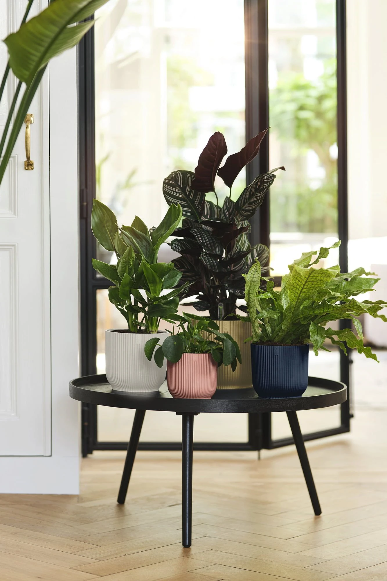 Elho Vibes Fold Rund 30 Cm, Seidenweiß 7 Elho Vibes Fold Rund 30 Cm, Seidenweiß – Bild 5