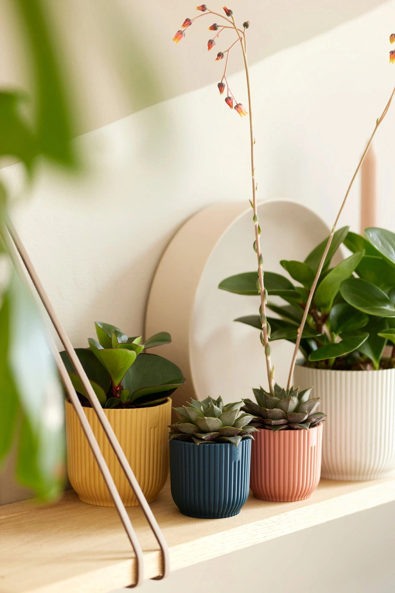 Elho Vibes Fold Rund Mini 11 Cm, Seidenweiß 9 Elho Vibes Fold Rund Mini 11 Cm, Seidenweiß – Bild 7