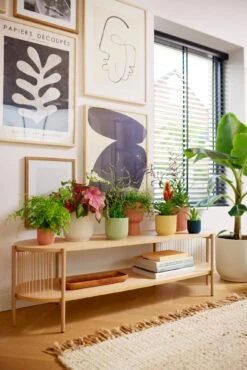 Elho Vibes Fold Rund Mit Rollen 35 Cm, Seidenweiß 13 Elho Vibes Fold Rund Mit Rollen 35 Cm, Seidenweiß -Deutschland Gartenbedarf Verkäufe 2024 elho vibes fold rund mit rollen 35 cm 1495590 de