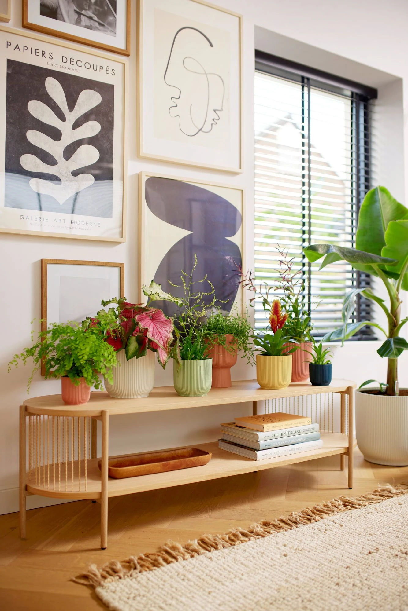 Elho Vibes Fold Rund Mit Rollen 35 Cm, Seidenweiß 4 Elho Vibes Fold Rund Mit Rollen 35 Cm, Seidenweiß – Bild 3