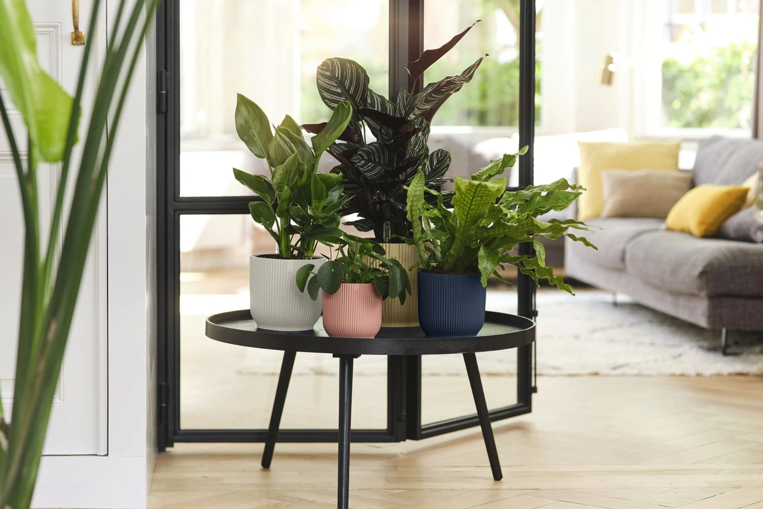 Elho Vibes Fold Rund 16 Cm, Sorbet Grün 13 Elho Vibes Fold Rund 16 Cm, Sorbet Grün – Bild 11