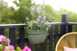 Elho Vibia Campana Easy Hanger Medium, Pistazien Grün