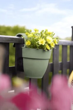 Elho Vibia Campana Easy Hanger Small, Pistazien Grün -Deutschland Gartenbedarf Verkäufe 2024 elho vibia campana easy hanger small pistazien gruen 1129947 de