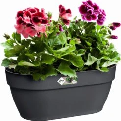 Elho Vibia Campana Wandampel 35 Cm, Anthrazit 13 Elho Vibia Campana Wandampel 35 Cm, Anthrazit -Deutschland Gartenbedarf Verkäufe 2024 elho vibia campana wandampel 35 cm antracit 1134498 de