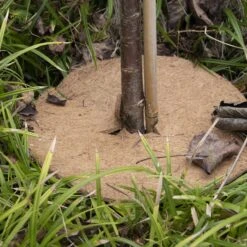 ESSCHERT DESIGN Pflanzschutzmatte Aus Kokos, M 8 ESSCHERT DESIGN Pflanzschutzmatte Aus Kokos, M -Deutschland Gartenbedarf Verkäufe 2024 esschert design pflanzschutzmatte aus kokos 1621032 de