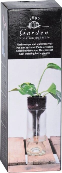 ESSCHERT DESIGN Selbstbewässernder Flaschentopf 13 ESSCHERT DESIGN Selbstbewässernder Flaschentopf -Deutschland Gartenbedarf Verkäufe 2024 esschert design selbstbewaessernder flaschentopf 1 st 1678001 de