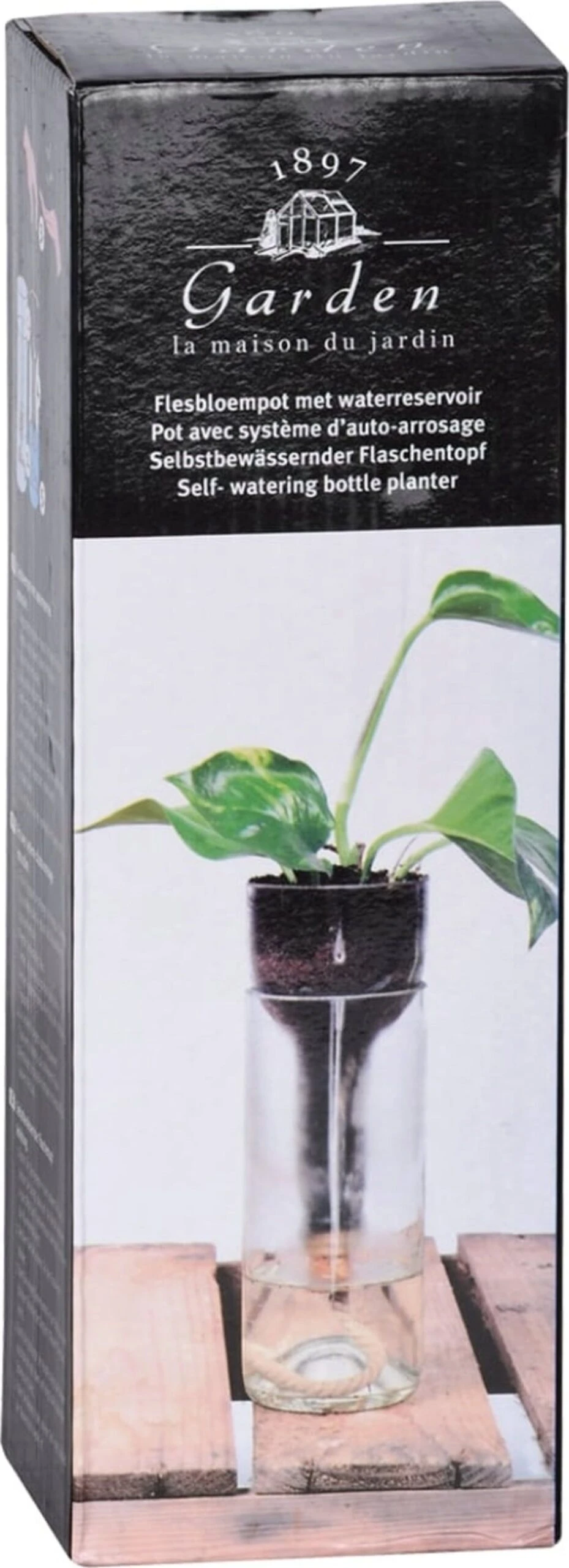 ESSCHERT DESIGN Selbstbewässernder Flaschentopf 8 ESSCHERT DESIGN Selbstbewässernder Flaschentopf – Bild 6