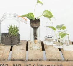 ESSCHERT DESIGN Selbstbewässernder Flaschentopf 11 ESSCHERT DESIGN Selbstbewässernder Flaschentopf -Deutschland Gartenbedarf Verkäufe 2024 esschert design selbstbewaessernder flaschentopf 1 stk 1211743 de