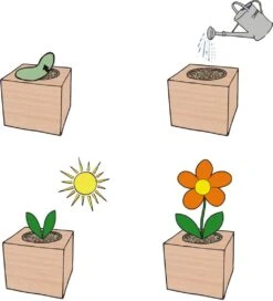 Ecocube "Edelweiß", Swiss-Edelweiß -Deutschland Gartenbedarf Verkäufe 2024 feel green ecocube edelweiss 1649931 de