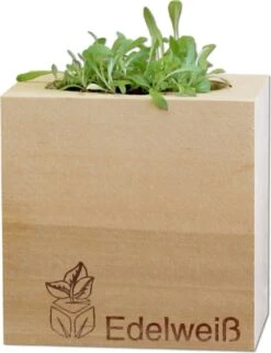 Ecocube "Edelweiß", Swiss-Edelweiß -Deutschland Gartenbedarf Verkäufe 2024 feel green ecocube edelweiss 1665873 de