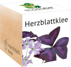 Ecocube "Herzblattklee" -Deutschland Gartenbedarf Verkäufe 2024 feel green ecocube herzblattklee 1 k 1033167 de