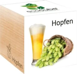 Ecocube "Hopfen" 6 Ecocube "Hopfen" -Deutschland Gartenbedarf Verkäufe 2024 feel green ecocube hopfen 1 st 1670006 de