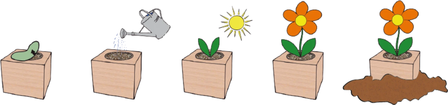 Ecocube "Hopfen" 3 Ecocube "Hopfen"
