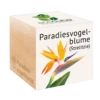 Ecocube "Paradiesvogelblume" -Deutschland Gartenbedarf Verkäufe 2024 feel green ecocube paradiesvogelblume 1 k 1259183 de