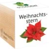 Ecocube "Weihnachtsstern" 1 Ecocube "Weihnachtsstern" -Deutschland Gartenbedarf Verkäufe 2024 feel green ecocube weihnachtsstern 1 k 1033177 de