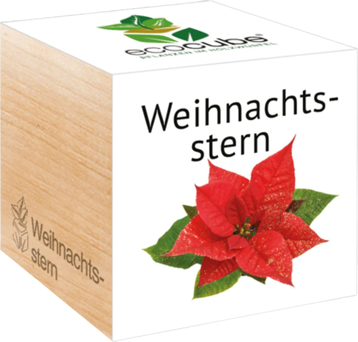 Ecocube "Weihnachtsstern" 3 Ecocube "Weihnachtsstern"