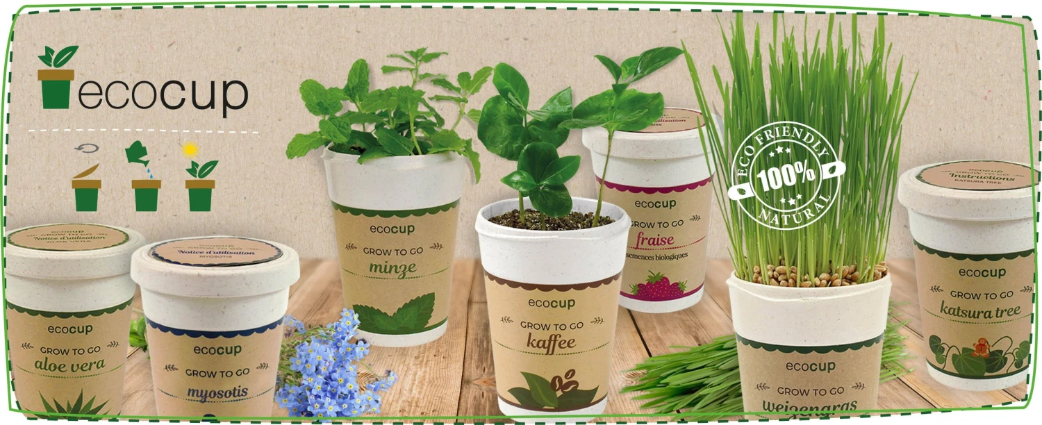 Ecocup "Orchideenbaum" 4 Ecocup "Orchideenbaum" – Bild 2