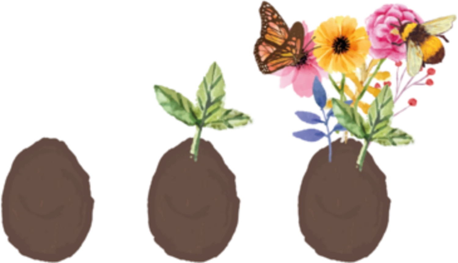 Seedegg "Tüte" 3 Seedegg "Tüte"