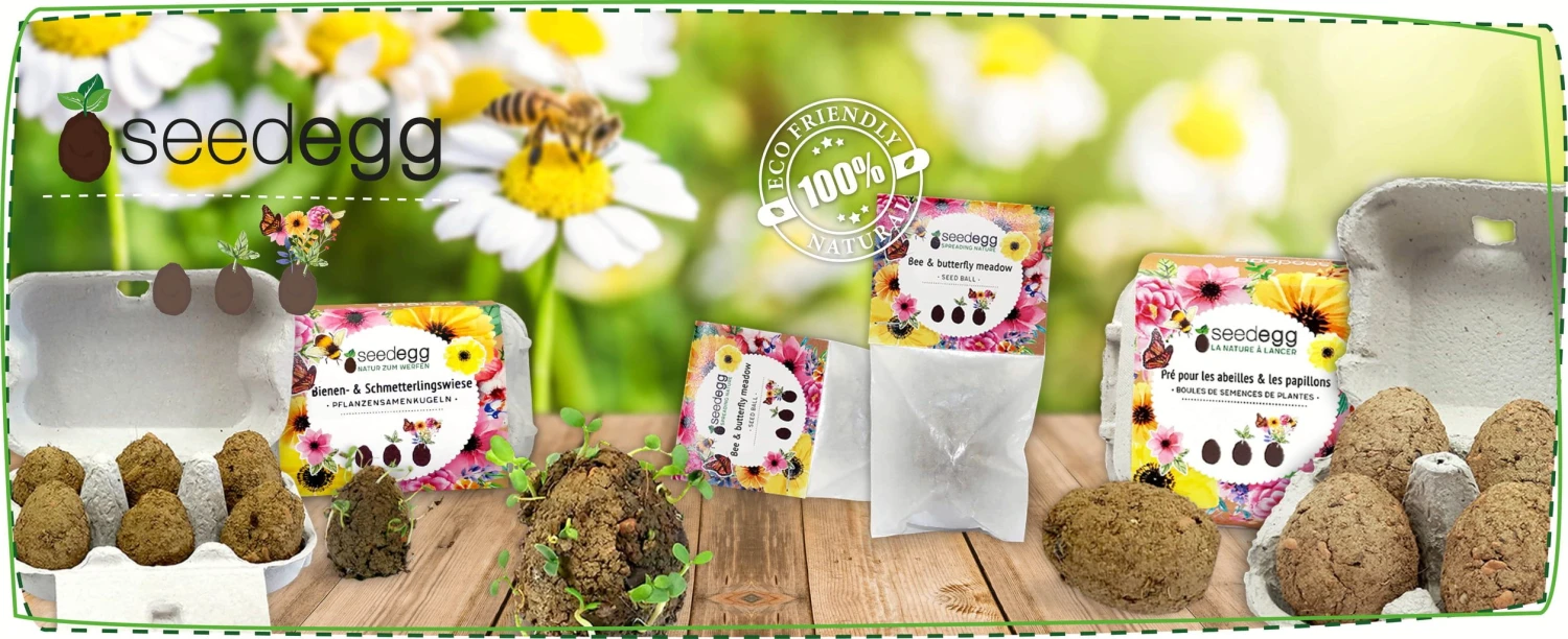 Seedegg "Tüte" 4 Seedegg "Tüte" – Bild 2