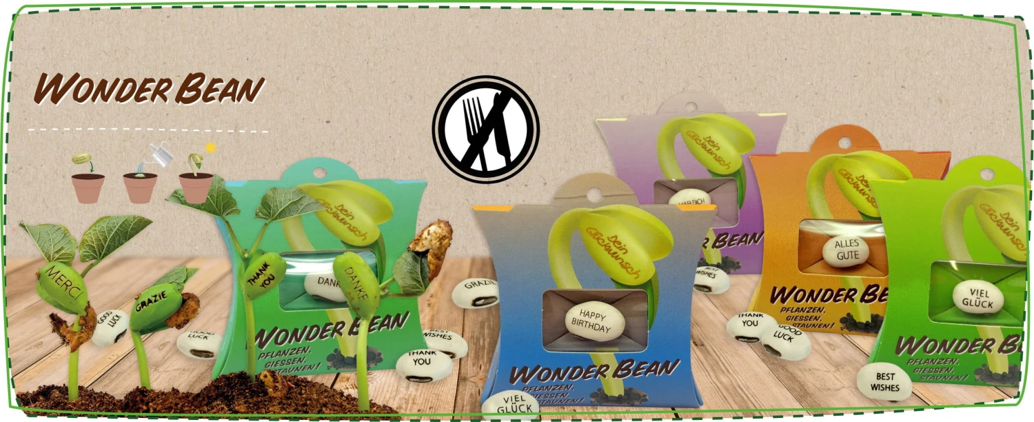 WonderBean "Viel Glück" 4 WonderBean "Viel Glück" – Bild 2