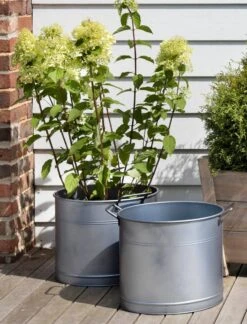 2er Set Verzinkte Pflanzkübel 18 2er Set Verzinkte Pflanzkübel -Deutschland Gartenbedarf Verkäufe 2024 garden trading 2er set verzinkte pflanzkuebel 1 set 804952 de