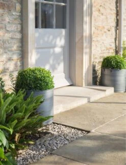 2er Set Verzinkte Pflanzkübel 16 2er Set Verzinkte Pflanzkübel -Deutschland Gartenbedarf Verkäufe 2024 garden trading 2er set verzinkte pflanzkuebel 1 set 804980 de