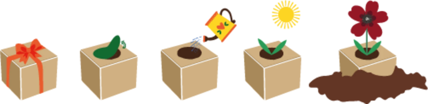 Green Celebrations "Schokoladenblume" 3 Green Celebrations "Schokoladenblume"