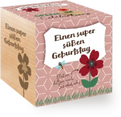 Green Celebrations "Schokoladenblume" 7 Green Celebrations "Schokoladenblume" -Deutschland Gartenbedarf Verkäufe 2024 green celebrations schokoladenblume 1 st 1669939 de