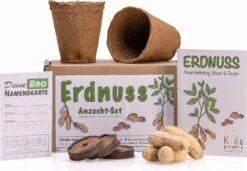 Erdnuss "Kids" Anzucht-Set 17 Erdnuss "Kids" Anzucht-Set -Deutschland Gartenbedarf Verkäufe 2024 growbro erdnuss kids anzucht set 1 set 1178713 de