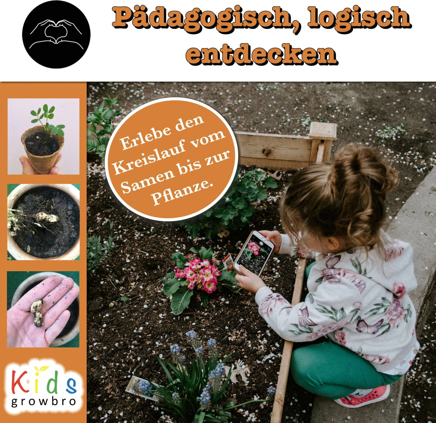 Erdnuss "Kids" Anzucht-Set 6 Erdnuss "Kids" Anzucht-Set – Bild 4