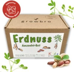 Erdnuss "Kids" Anzucht-Set 21 Erdnuss "Kids" Anzucht-Set -Deutschland Gartenbedarf Verkäufe 2024 growbro erdnuss kids anzucht set 1 set 964520 de