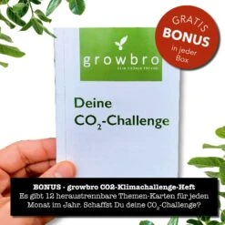 Erdnuss "Kids" Anzucht-Set