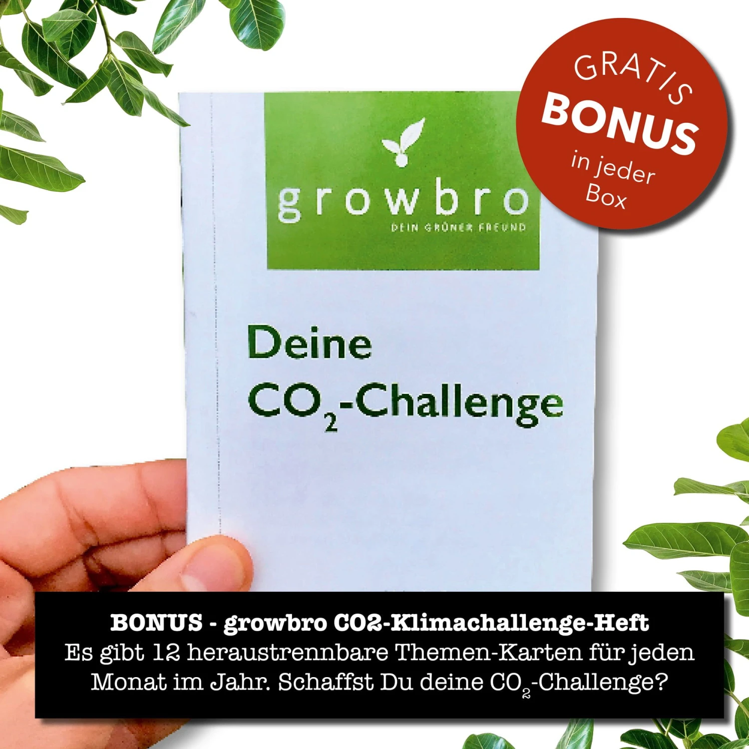 Erdnuss "Kids" Anzucht-Set 3 Erdnuss "Kids" Anzucht-Set