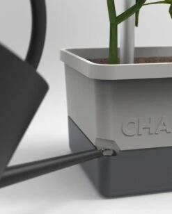 Charly Chili - Pflanztopf, Hellgrau