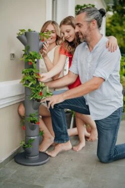 Erdbeerturm - Sissi Strawberry Classic, Anthrazit -Deutschland Gartenbedarf Verkäufe 2024 gusta garden erdbeerturm sissi strawberry classic antracite 765351 de