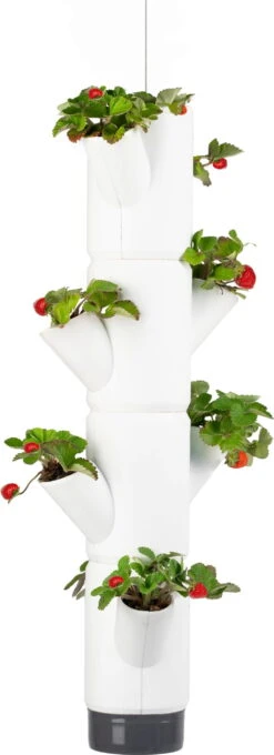 Erdbeerturm - Sissi Strawberry Hanging, Weiss -Deutschland Gartenbedarf Verkäufe 2024 gusta garden erdbeerturm sissi strawberry hanging bela 1668864 de