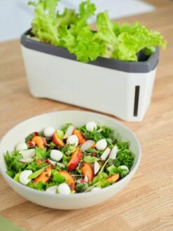 Harry Herbs Kräutertopf - Mit Haube, Weiß -Deutschland Gartenbedarf Verkäufe 2024 gusta garden harry herbs kraeutertopf mit haube weiss 1410068 de