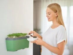 Harry Herbs Kräutertopf - Ohne Haube, Dunkelgrün 11 Harry Herbs Kräutertopf - Ohne Haube, Dunkelgrün -Deutschland Gartenbedarf Verkäufe 2024 gusta garden harry herbs kraeutertopf ohne haube temno zelena 1680758 de