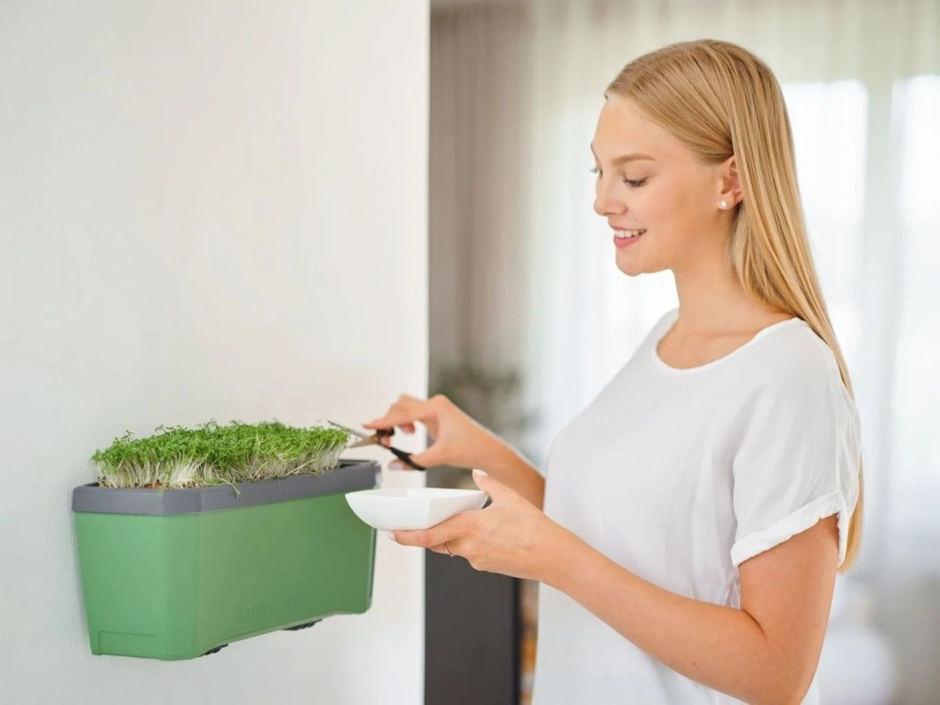 Harry Herbs Kräutertopf - Ohne Haube, Dunkelgrün 7 Harry Herbs Kräutertopf - Ohne Haube, Dunkelgrün – Bild 5