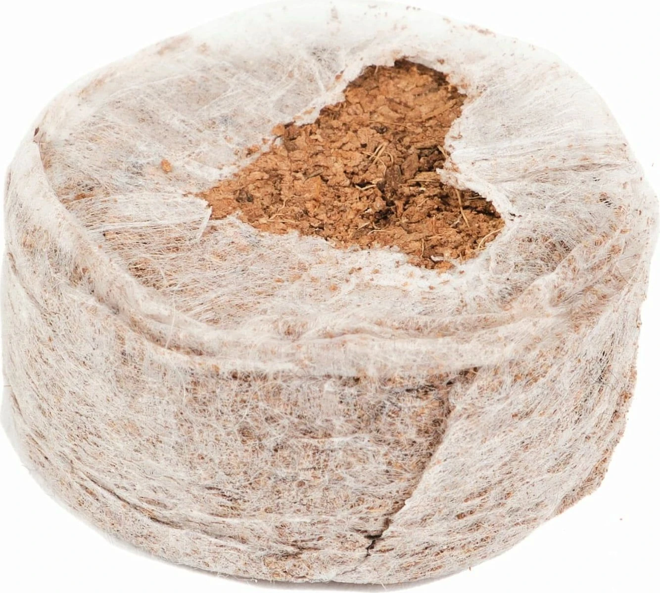 Kokos-Quelltöpfe 5 Kokos-Quelltöpfe – Bild 3