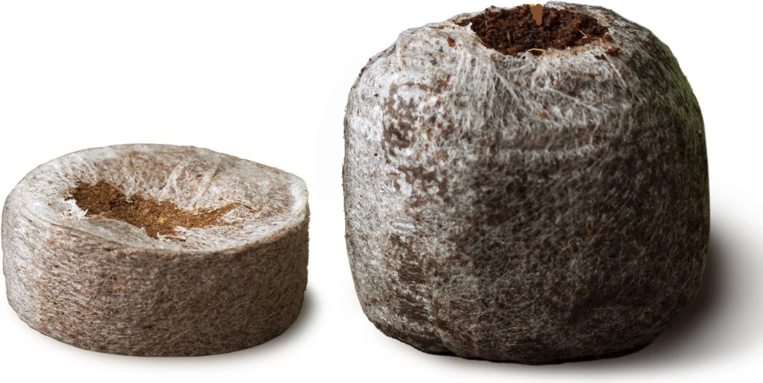 Kokos-Quelltöpfe 3 Kokos-Quelltöpfe